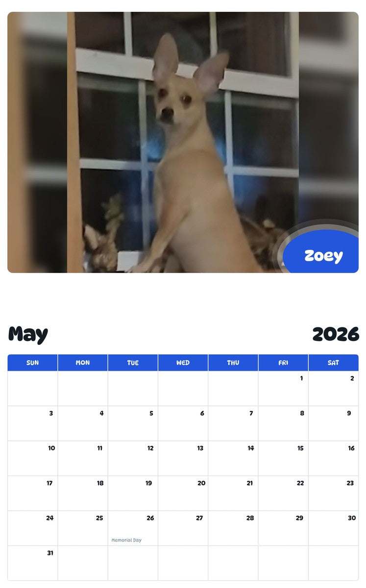 2026 - 2027 Zoey - Pawidols Pet Calendar