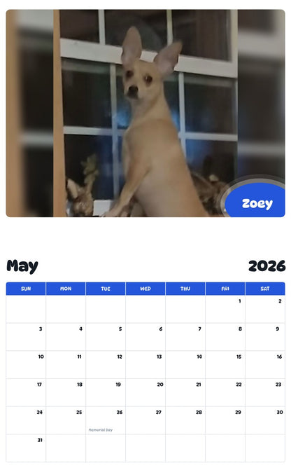2026 - 2027 Zoey - Pawidols Pet Calendar