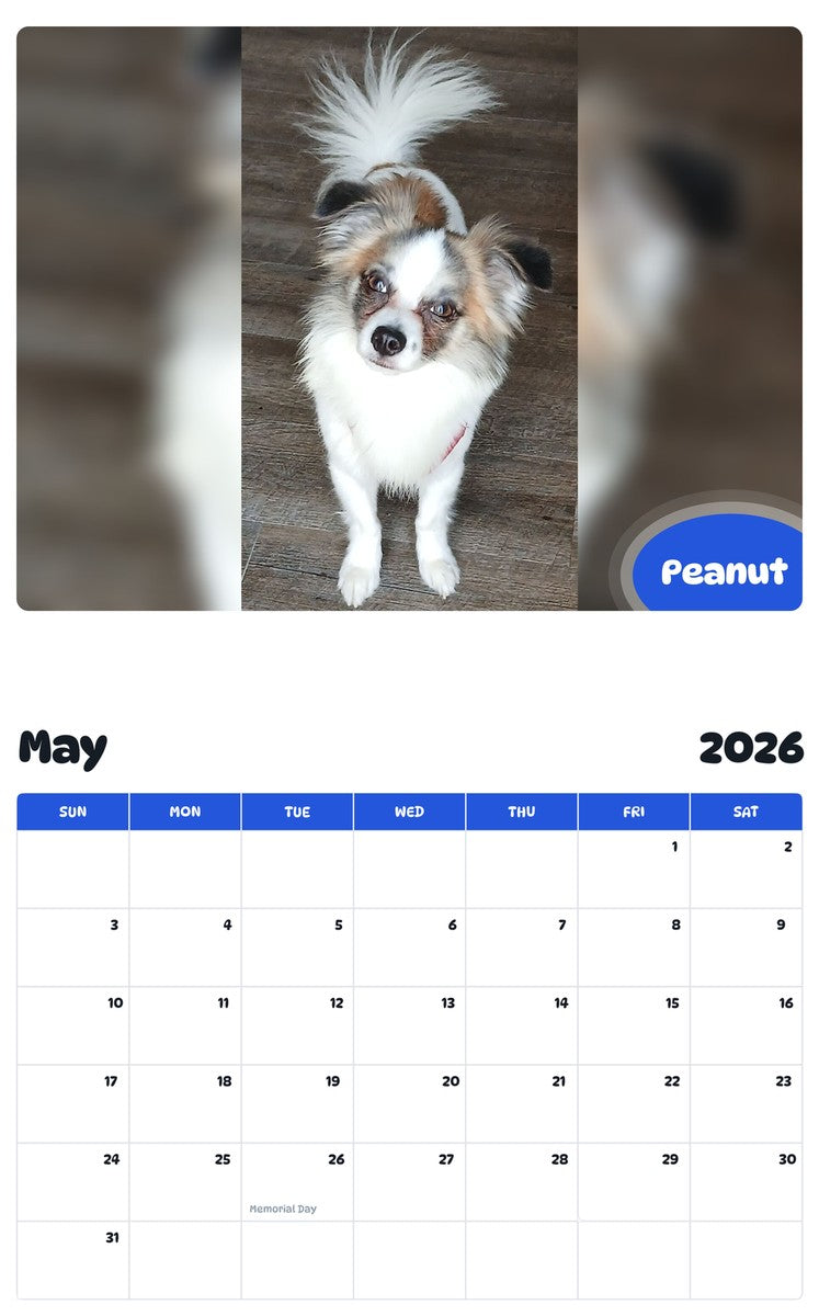 2026 - 2027 Peanut - Pawidols Pet Calendar