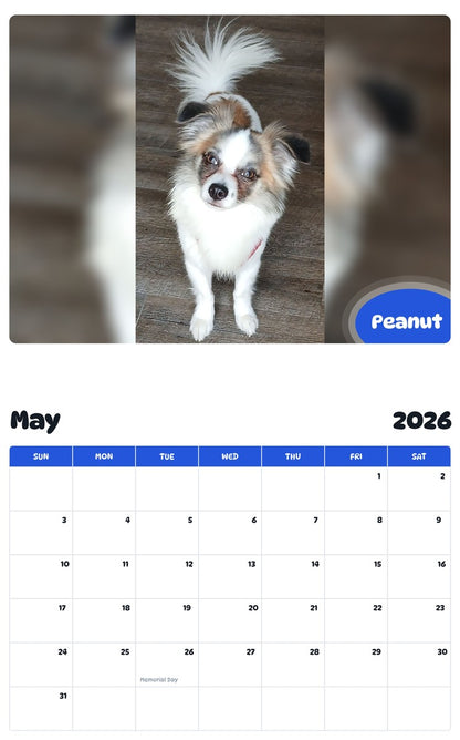 2026 - 2027 Peanut - Pawidols Pet Calendar