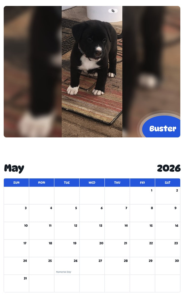 2026 - 2027 Buster - Pawidols Pet Calendar