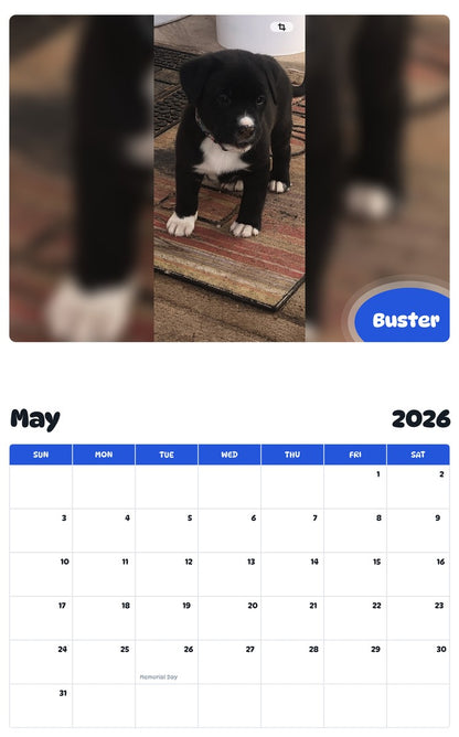 2026 - 2027 Buster - Pawidols Pet Calendar