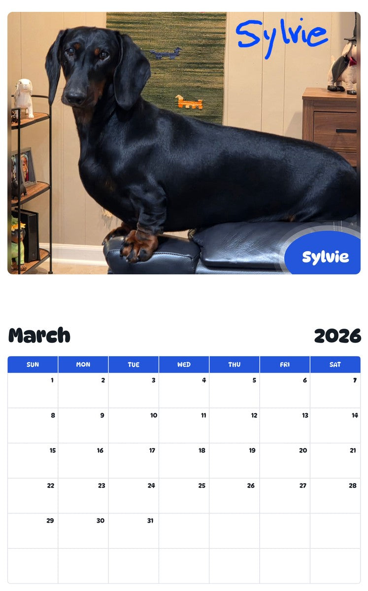 November 2025 - October 2026 Sylvie - Pawidols Pet Calendar