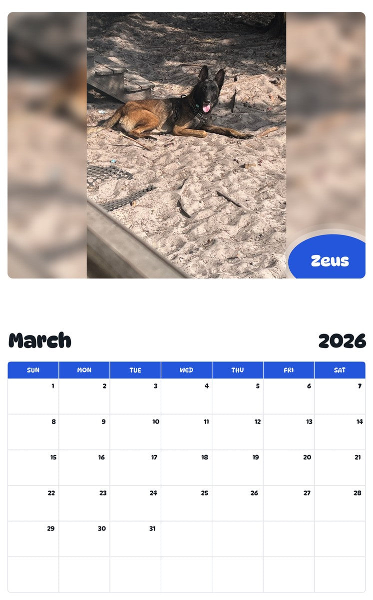November 2025 - October 2026 Zeus - Pawidols Pet Calendar