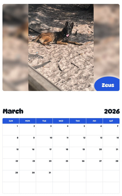 November 2025 - October 2026 Zeus - Pawidols Pet Calendar