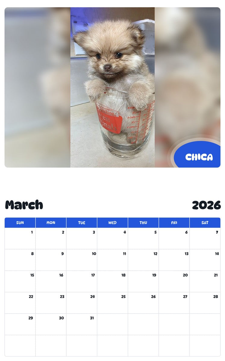 November 2025 - October 2026 CHICA - Pawidols Pet Calendar