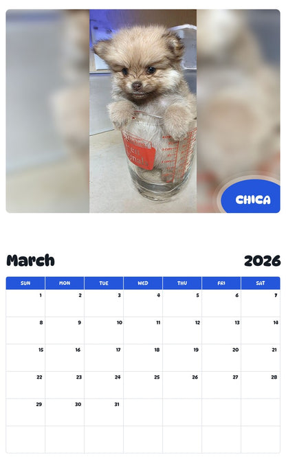 November 2025 - October 2026 CHICA - Pawidols Pet Calendar