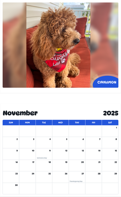 July 2025 - June 2026 Cinnamon - Pawidols Pet Calendar