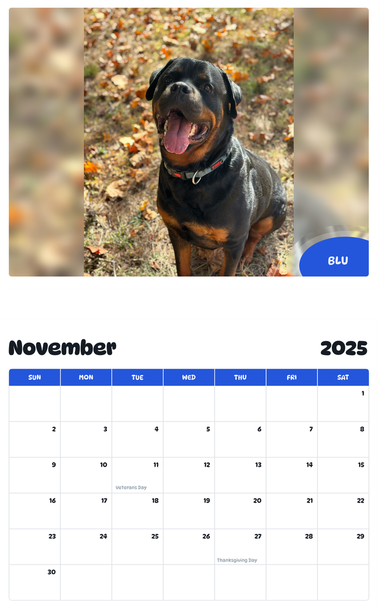 July 2025 - June 2026 Blu - Pawidols Pet Calendar