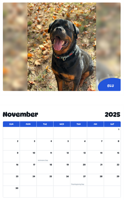 July 2025 - June 2026 Blu - Pawidols Pet Calendar