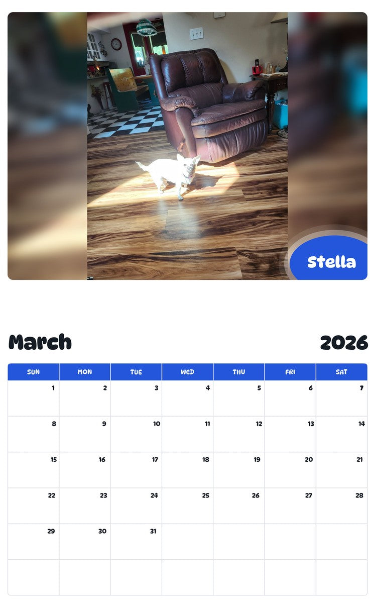 November 2025 - October 2026 Stella - Pawidols Pet Calendar