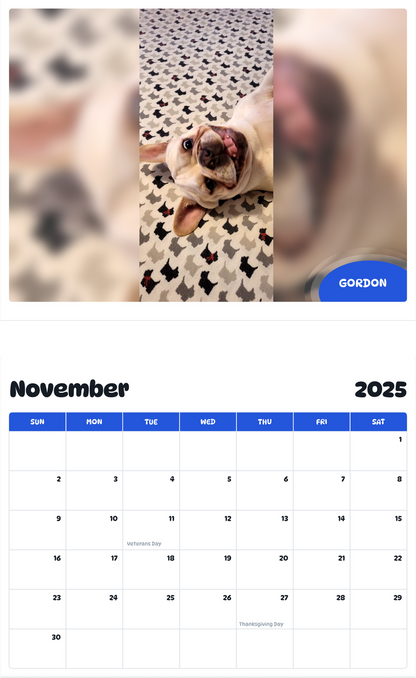 July 2025 - June 2026 Gordon - Pawidols Pet Calendar