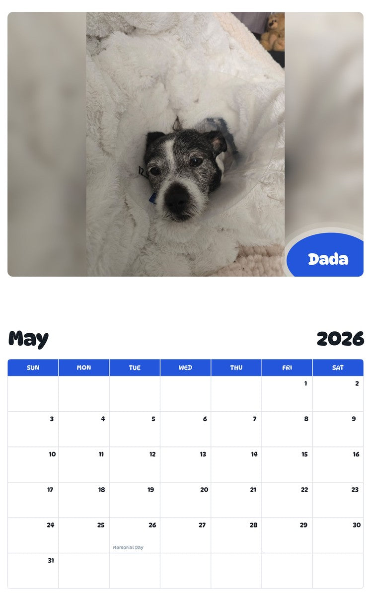 2026 - 2027 Dada - Pawidols Pet Calendar