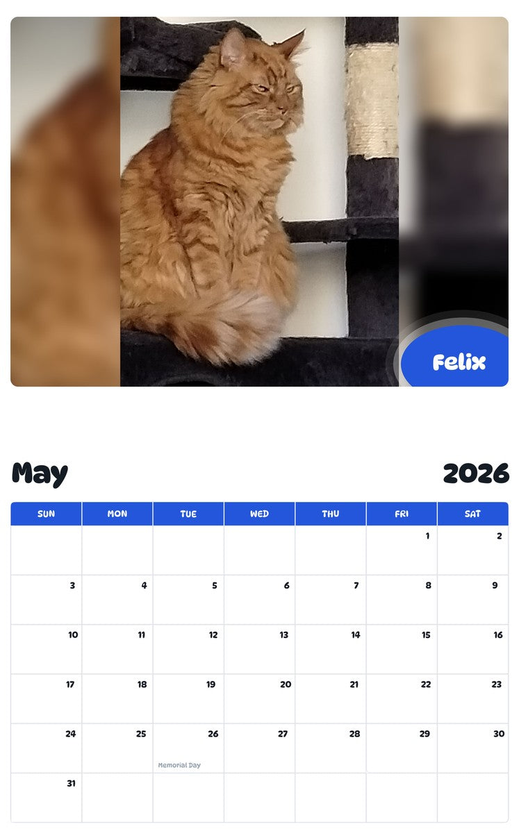 2026 - 2027 Felix - Pawidols Pet Calendar