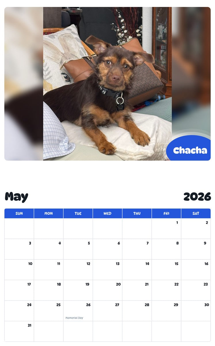 2026 - 2027 Chacha - Pawidols Pet Calendar