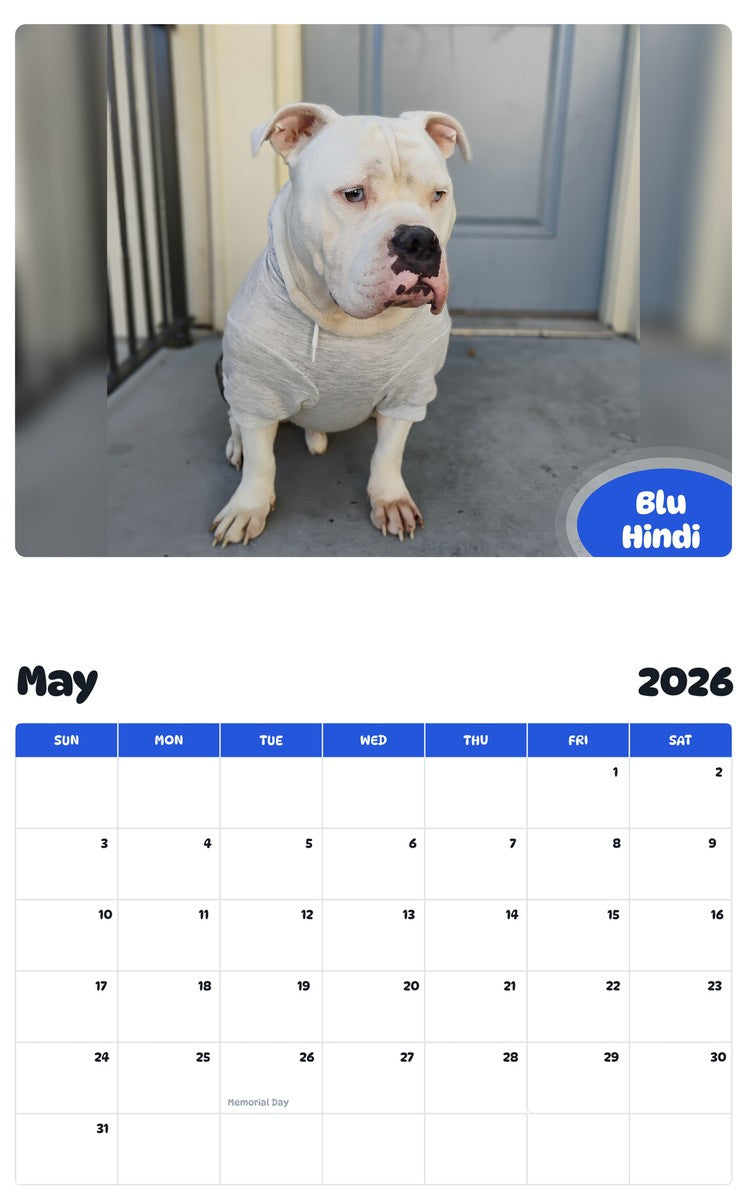 2026 - 2027 Blu Hindi - Pawidols Pet Calendar