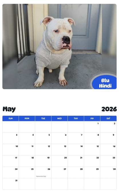 2026 - 2027 Blu Hindi - Pawidols Pet Calendar