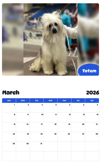 November 2025 - October 2026 Totem - Pawidols Pet Calendar
