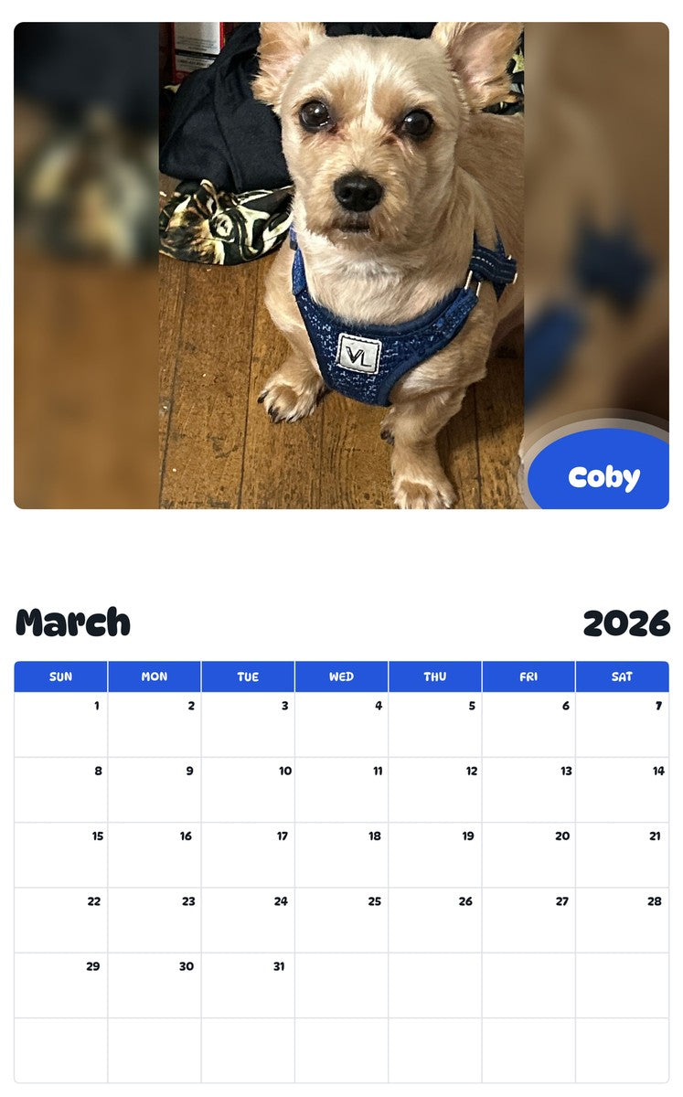 November 2025 - October 2026 Coby - Pawidols Pet Calendar