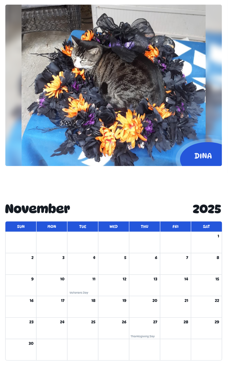July 2025 - June 2026 DINA - Pawidols Pet Calendar