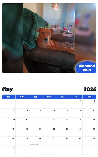 2026 - 2027 Diamond Rain - Pawidols Pet Calendar
