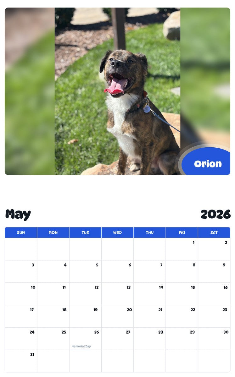 2026 - 2027 Orion - Pawidols Pet Calendar