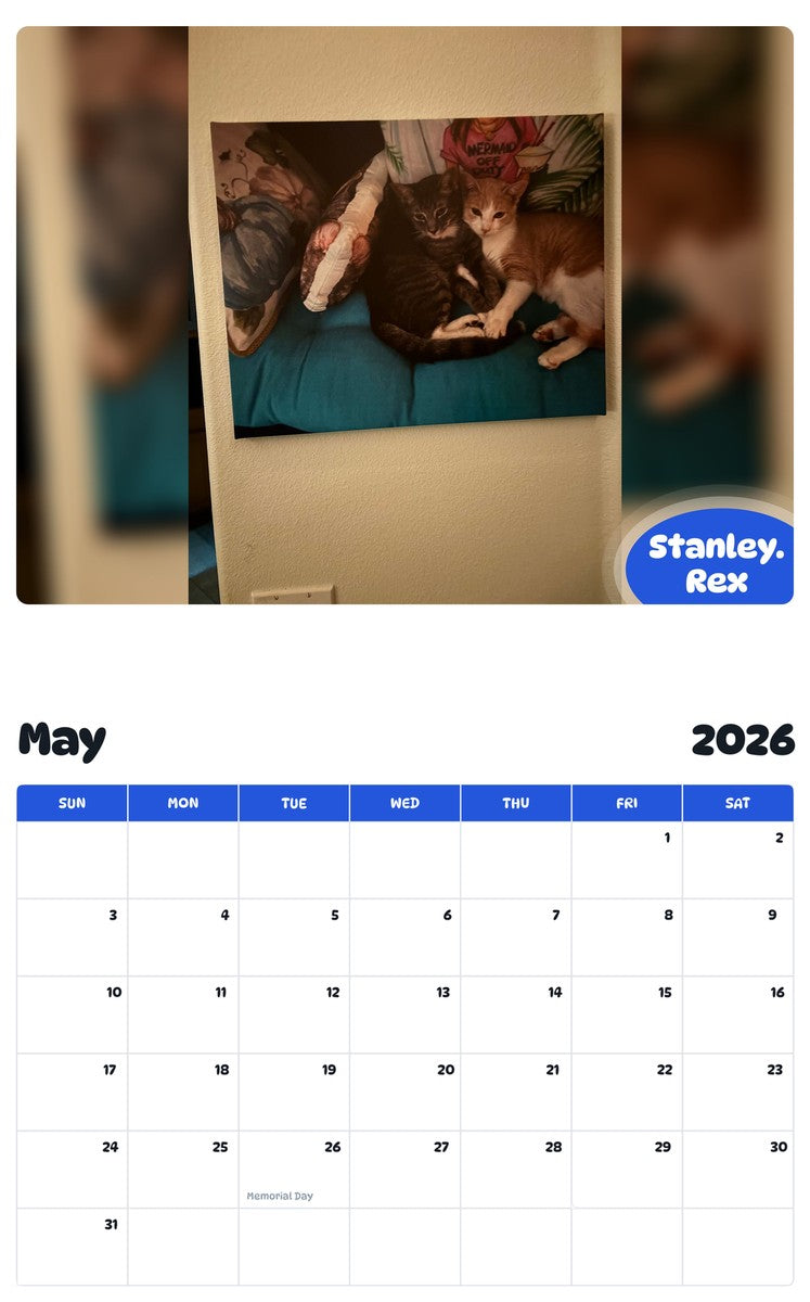 2026 - 2027 Stanley.   Rex - Pawidols Pet Calendar