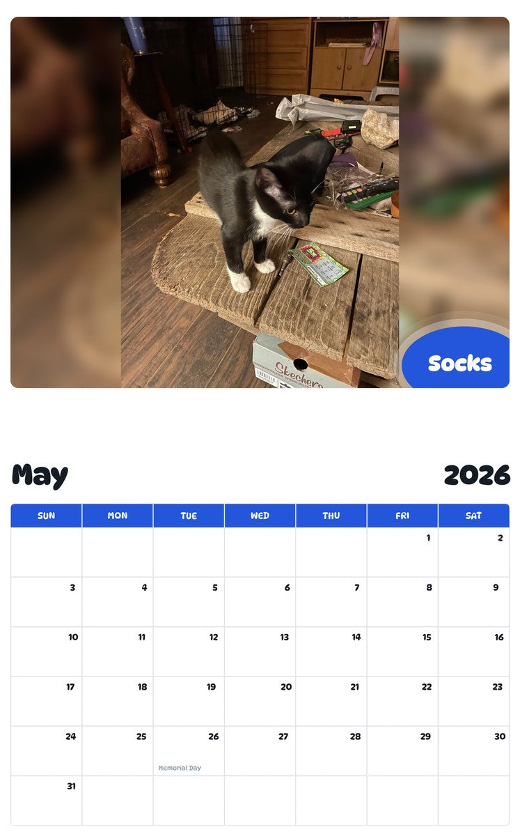 2026 - 2027 Socks - Pawidols Pet Calendar