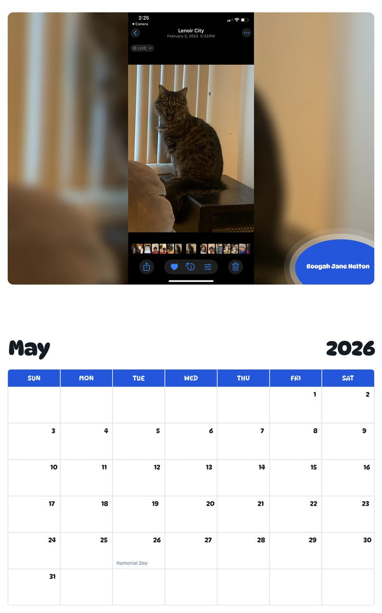 2026 - 2027 Boogah Jane Helton - Pawidols Pet Calendar