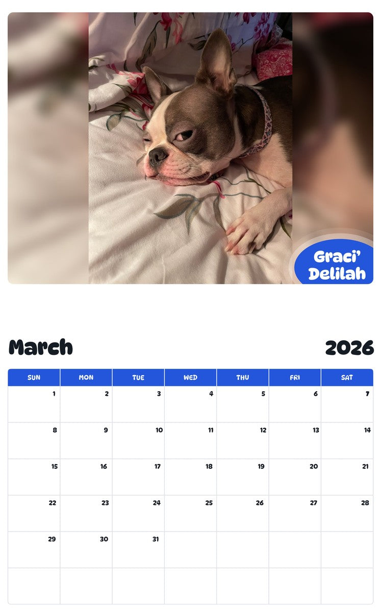 November 2025 - October 2026 Graci’ Delilah - Pawidols Pet Calendar