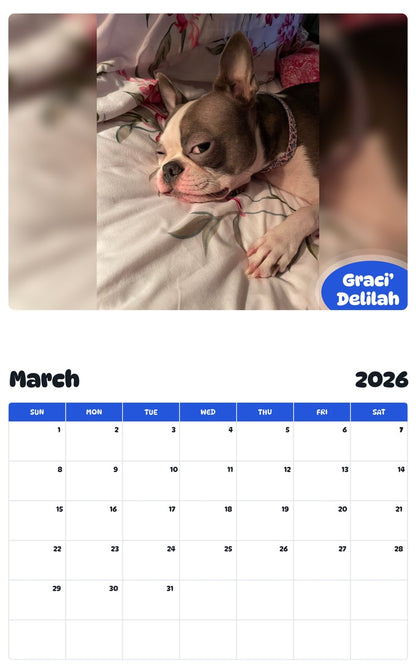November 2025 - October 2026 Graci’ Delilah - Pawidols Pet Calendar