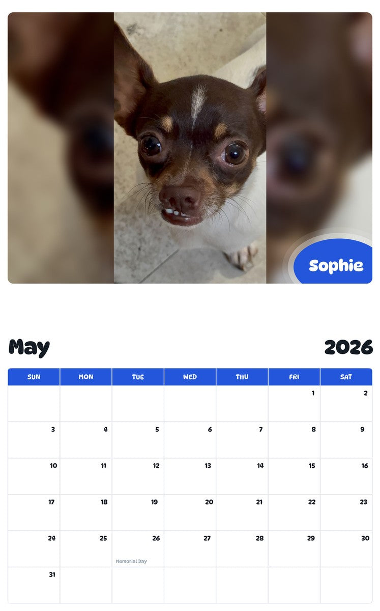 2026 - 2027 Sophie - Pawidols Pet Calendar