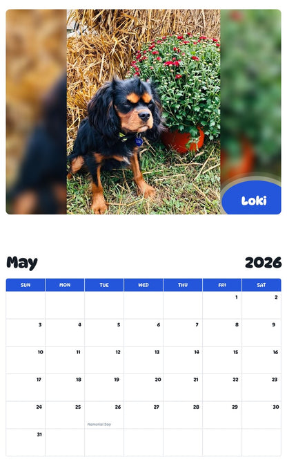 2026 - 2027 Loki - Pawidols Pet Calendar