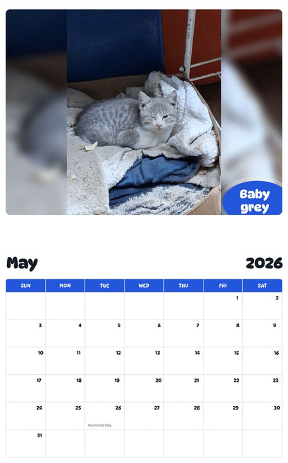 2026 - 2027 Baby grey - Pawidols Pet Calendar