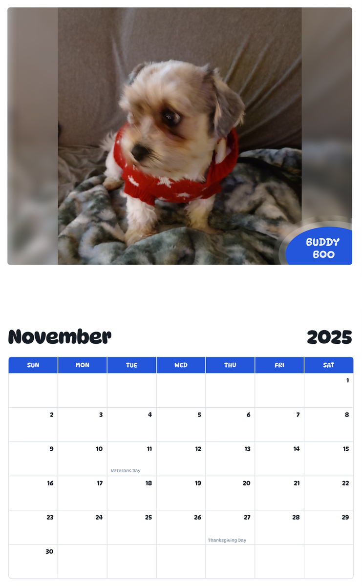 July 2025 - June 2026 Buddy Boo - Pawidols Pet Calendar