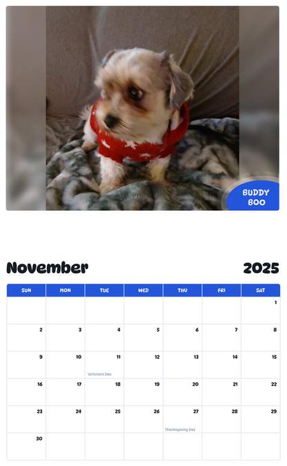 July 2025 - June 2026 Buddy Boo - Pawidols Pet Calendar