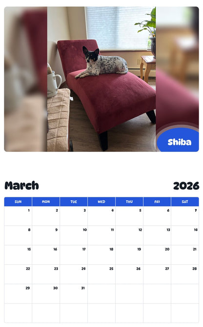 November 2025 - October 2026 Shiba - Pawidols Pet Calendar