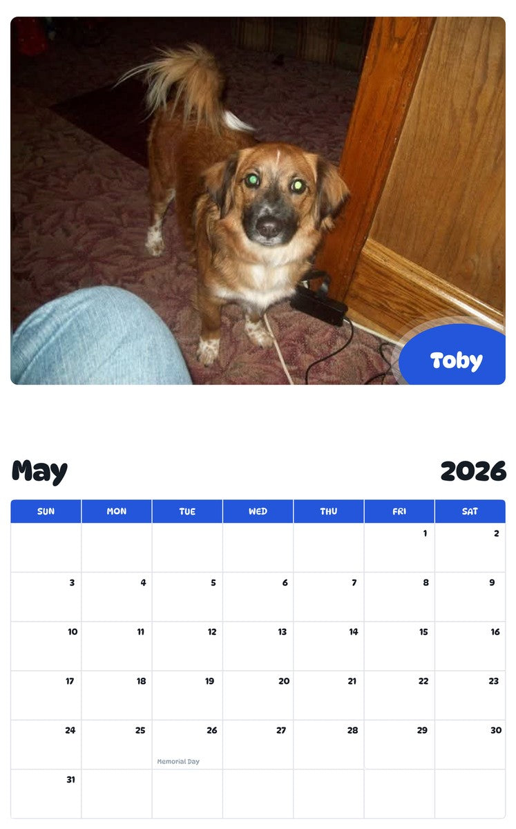 2026 - 2027 Toby - Pawidols Pet Calendar