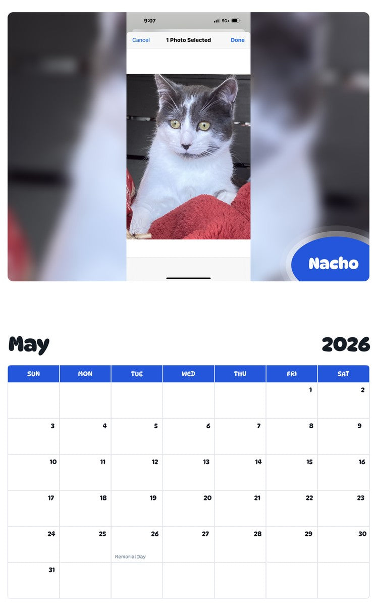 2026 - 2027 Nacho - Pawidols Pet Calendar
