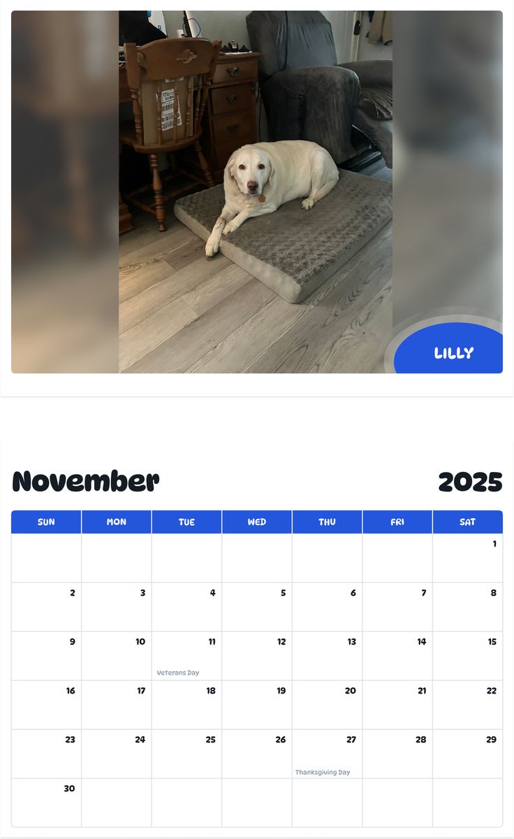 July 2025 - June 2026 Lilly - Pawidols Pet Calendar