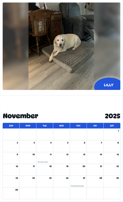 July 2025 - June 2026 Lilly - Pawidols Pet Calendar