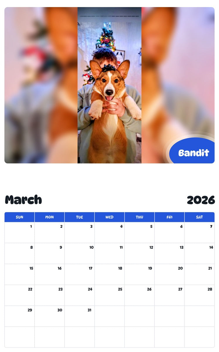 November 2025 - October 2026 Bandit - Pawidols Pet Calendar