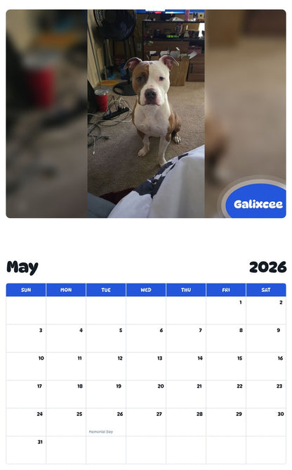 2026 - 2027 Galixcee - Pawidols Pet Calendar