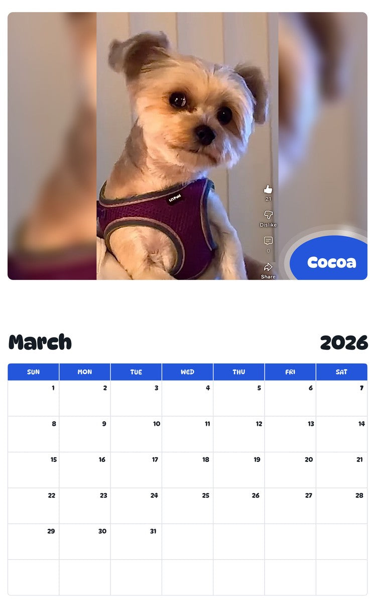 November 2025 - October 2026 Cocoa - Pawidols Pet Calendar