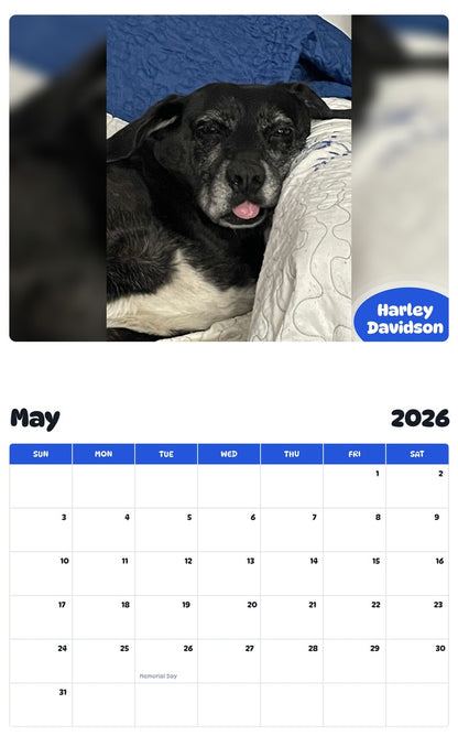 2026 - 2027 Harley Davidson - Pawidols Pet Calendar