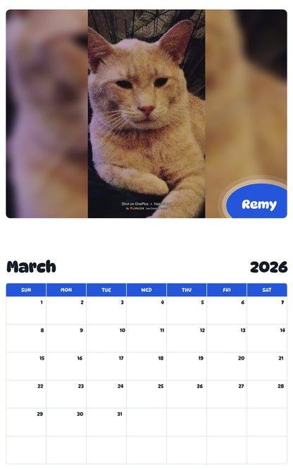 November 2025 - October 2026 Remy - Pawidols Pet Calendar