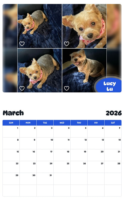 November 2025 - October 2026 Lucy Lu - Pawidols Pet Calendar