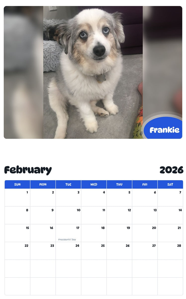 November 2025 - October 2026 Frankie - Pawidols Pet Calendar