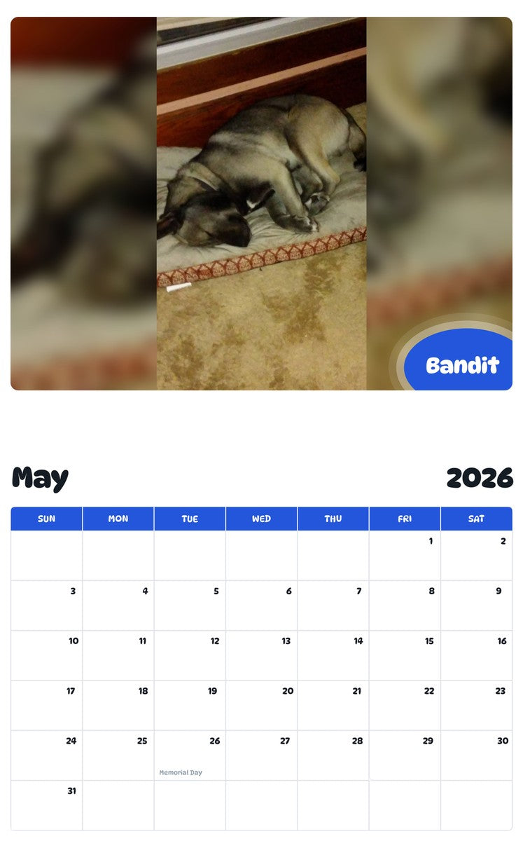 2026 - 2027 Bandit - Pawidols Pet Calendar
