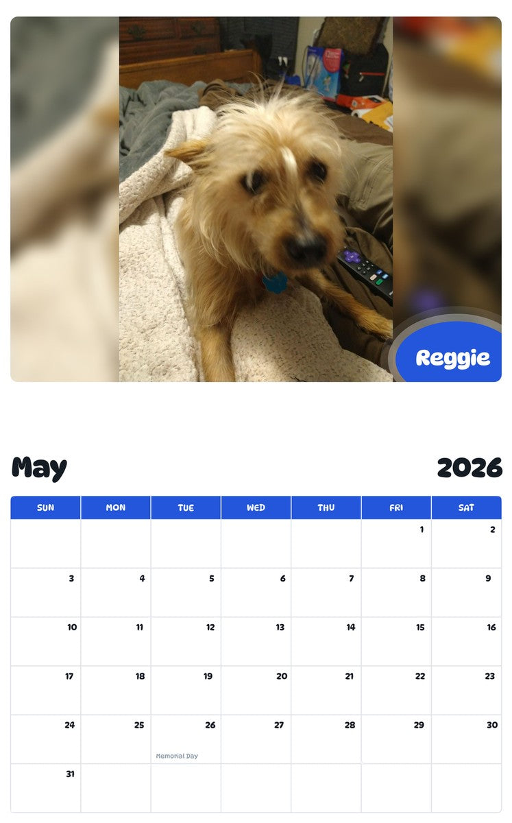 2026 - 2027 Reggie - Pawidols Pet Calendar